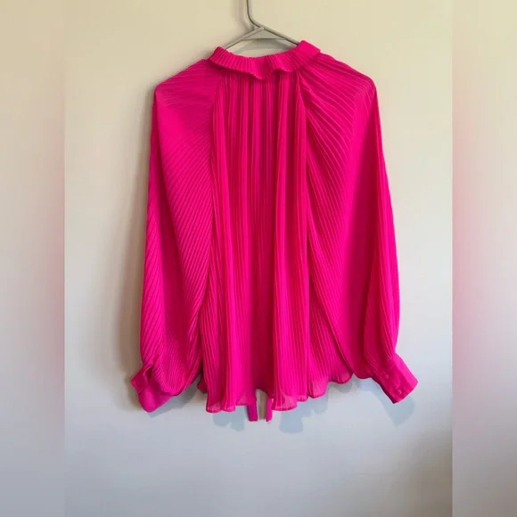 Endless Rose Pleated Chiffon Blouse - Picture 12 of 15